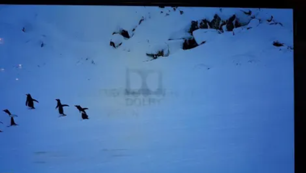 led和ips屏哪个好
