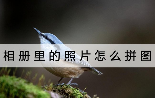 电脑拼图怎么拼图照片