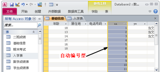 access数据库入门教程