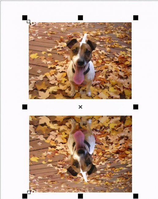 coreldraw怎么复制图形颜色