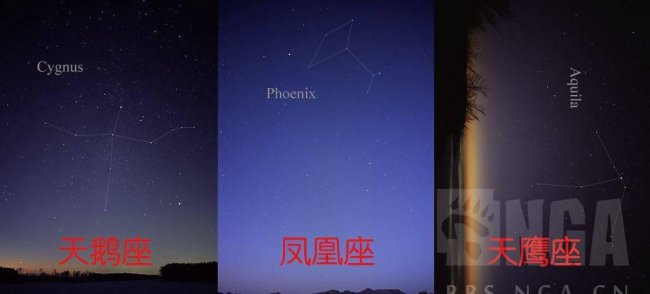艾尼维亚皮肤是哪个英雄