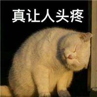 word里页眉横线怎么去掉快捷键