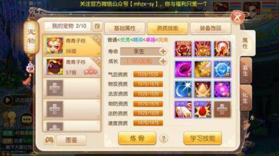 梦幻诛仙手游宠物化生技巧攻略 梦幻诛仙手游职业推荐