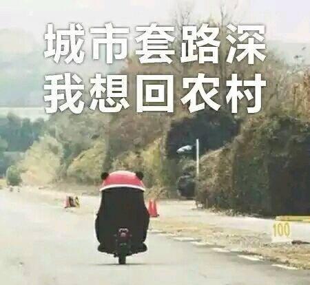 剑灵哪个职业最吃香的