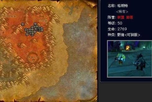 wow猎人稀有宝宝排行