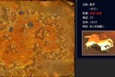 wow猎人稀有宝宝排行