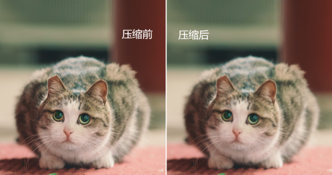 证件照片大小怎么改到20k