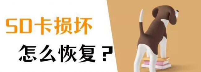 内存卡怎么修复数据