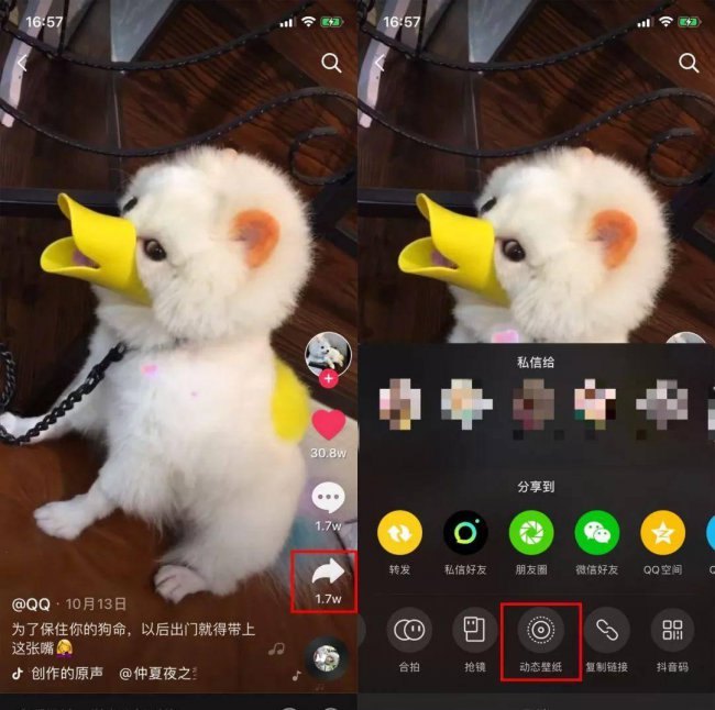 动态壁纸怎么设置声音