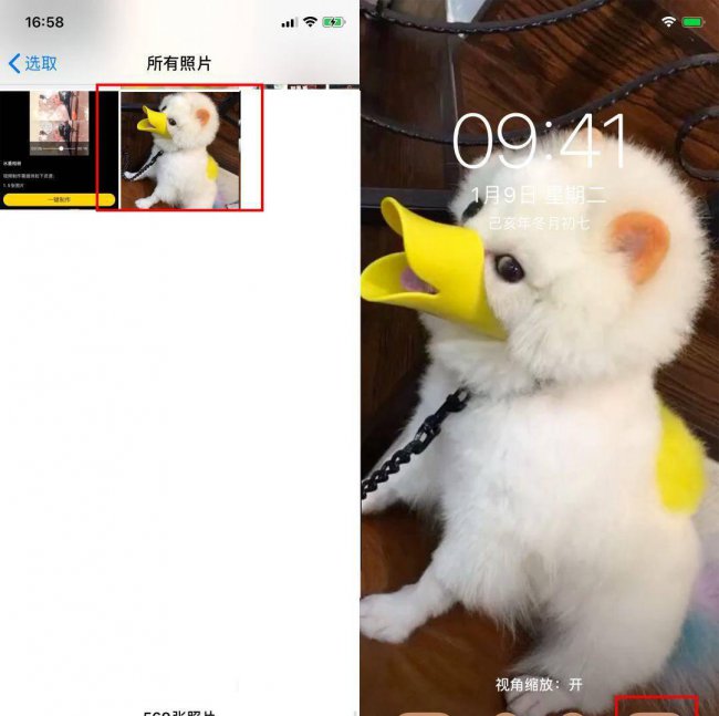 动态壁纸怎么设置声音