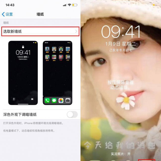 动态壁纸怎么设置声音