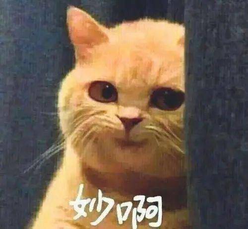 安卓手机怎么清理内存最干净