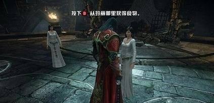 恶魔城2暗影之王攻略设置