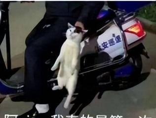 win10优化软件哪个好用