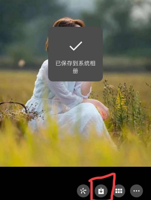 电脑上怎么复制粘贴文字