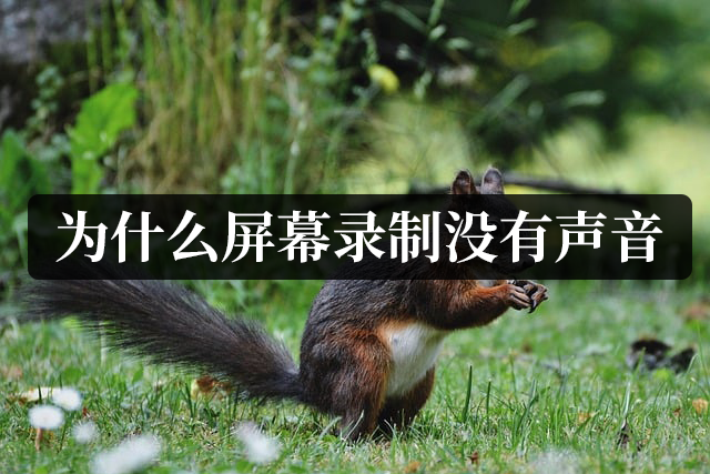 win10电脑未安装音频设备怎么解决