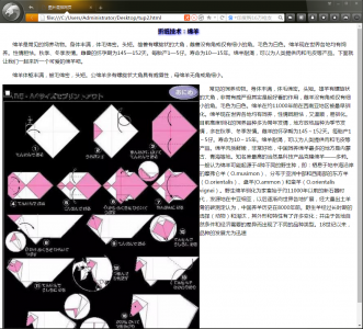 公司网页制作代码 简单网页设计模板html