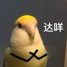 如何免费升级win10系统