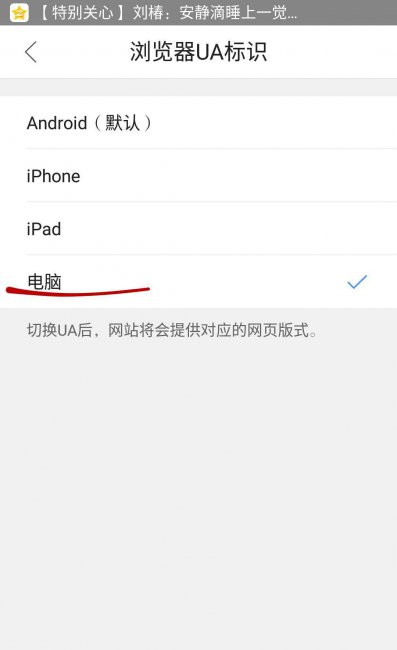 手机怎么打开ie网站设置