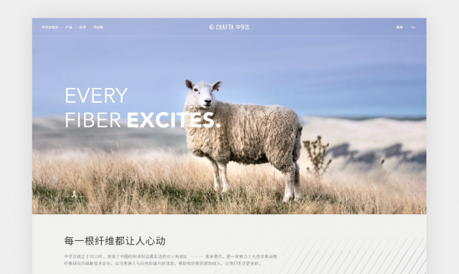 做网站建设的公司哪家好