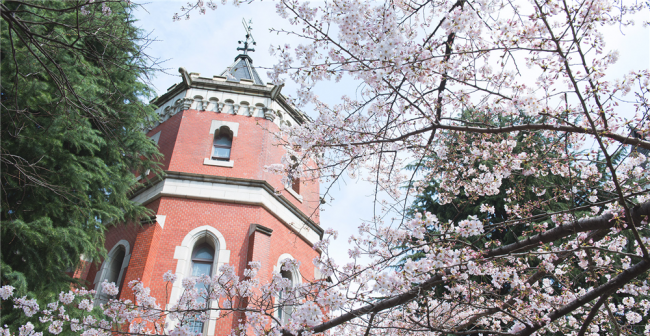 日本十大名牌大学排名