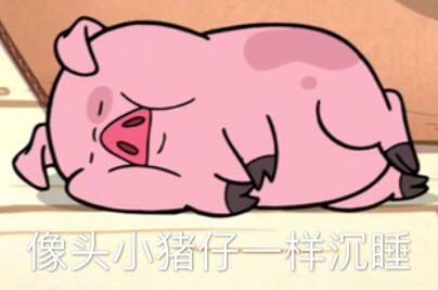 opgg韩服排位分查询 lol职业选手数据网站