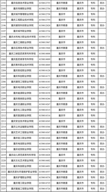 重庆高职院校有哪些学校