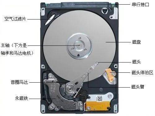 笔记本固态硬盘哪个牌子好