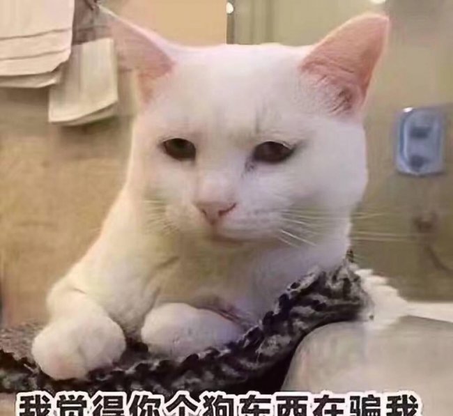 电脑忘记密码怎么开机