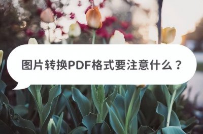 手机图片怎么转换成pdf格式 免费图片转pdf的软件推荐