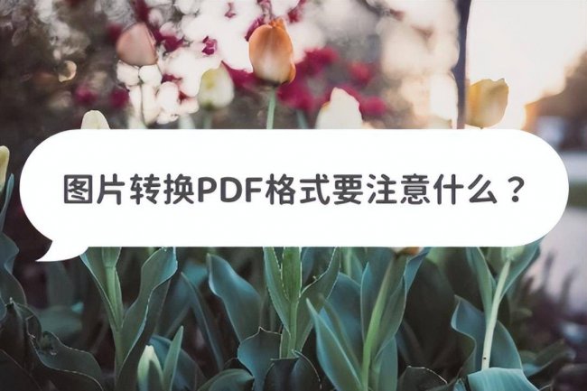 手机图片怎么转换成pdf格式
