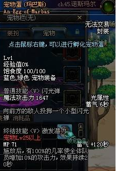 dnf迷你黑暗武士宠物属性选择