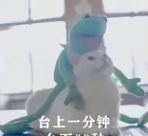 系统工具软件有哪些