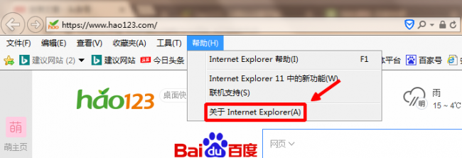 win10查看ie版本