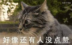 cmd文件怎么打开修改