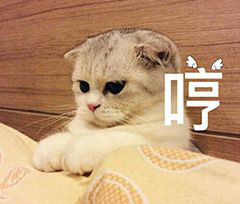 mpg文件怎么播放