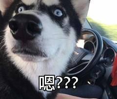 mpg文件怎么播放