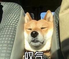 mpg文件怎么播放