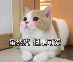 mpg文件怎么播放