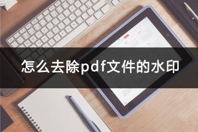 adobe+acrobat+dc水印无法去掉怎么办 去除pdf中的水印的教程