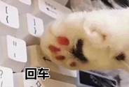u盘启动盘怎么做系统