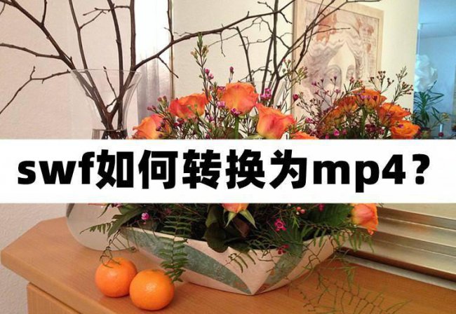 swf怎么转换成mp4格式