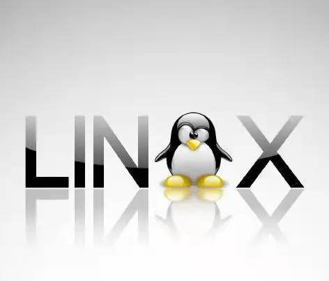 linux和windows的区别哪个好
