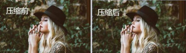 免费制作图片的软件有哪些
