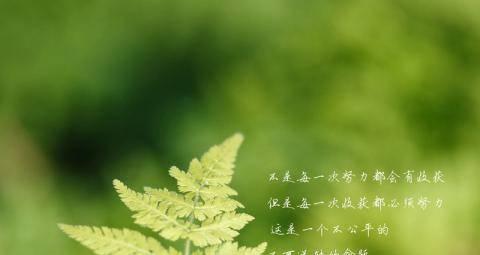 电脑一键还原精灵怎么使用的 台式电脑一键还原的教程