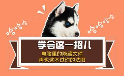 win10电脑上隐藏的文件夹怎么找出来 隐藏文件调出来方法