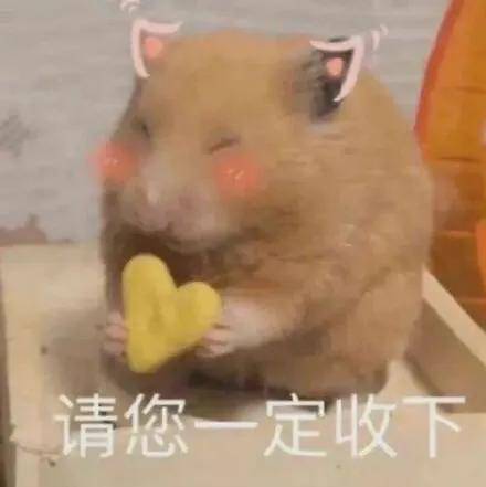 查四六级成绩需要什么信息