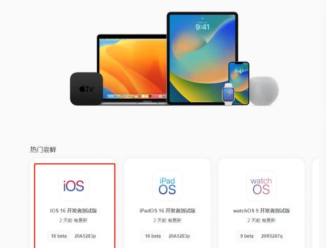 手机系统怎么升级最新版本