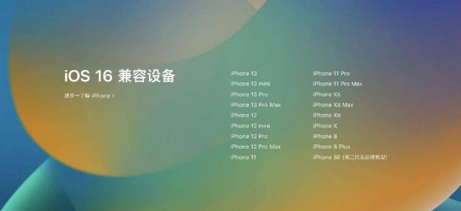 手机系统怎么升级最新版本