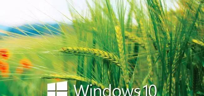 电脑系统win10和win10哪个好用